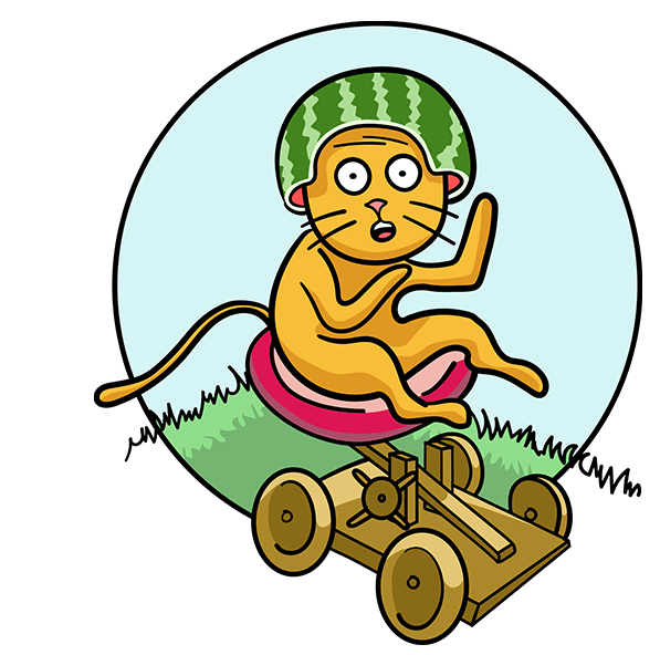 Kitty on a Catapult